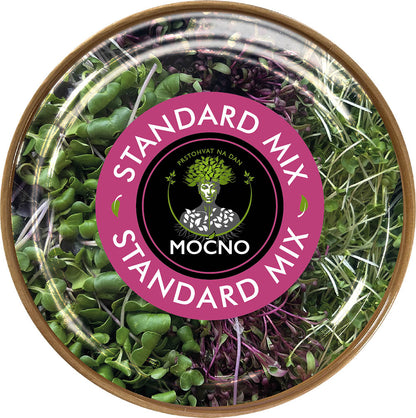 MOĆNO Standard Mix