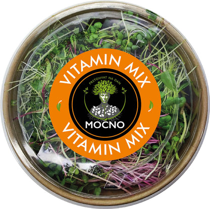 MOĆNO Vitamin Mix