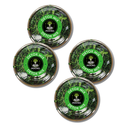 MOĆNO Detox Mix