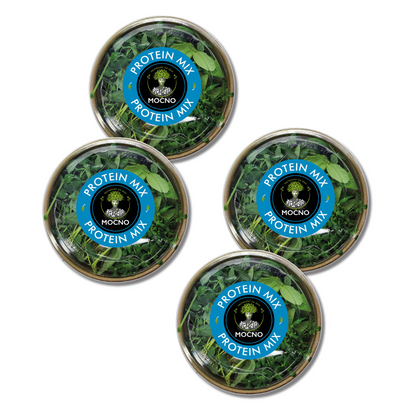 MOĆNO Protein Mix