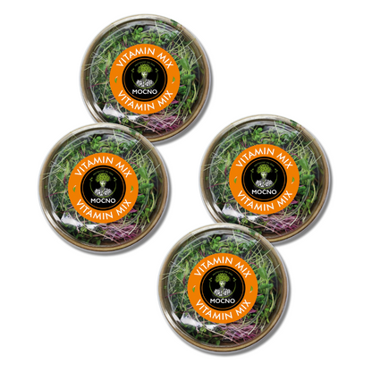 MOĆNO Vitamin Mix